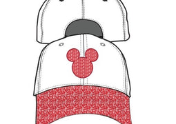 Hats & Accessories